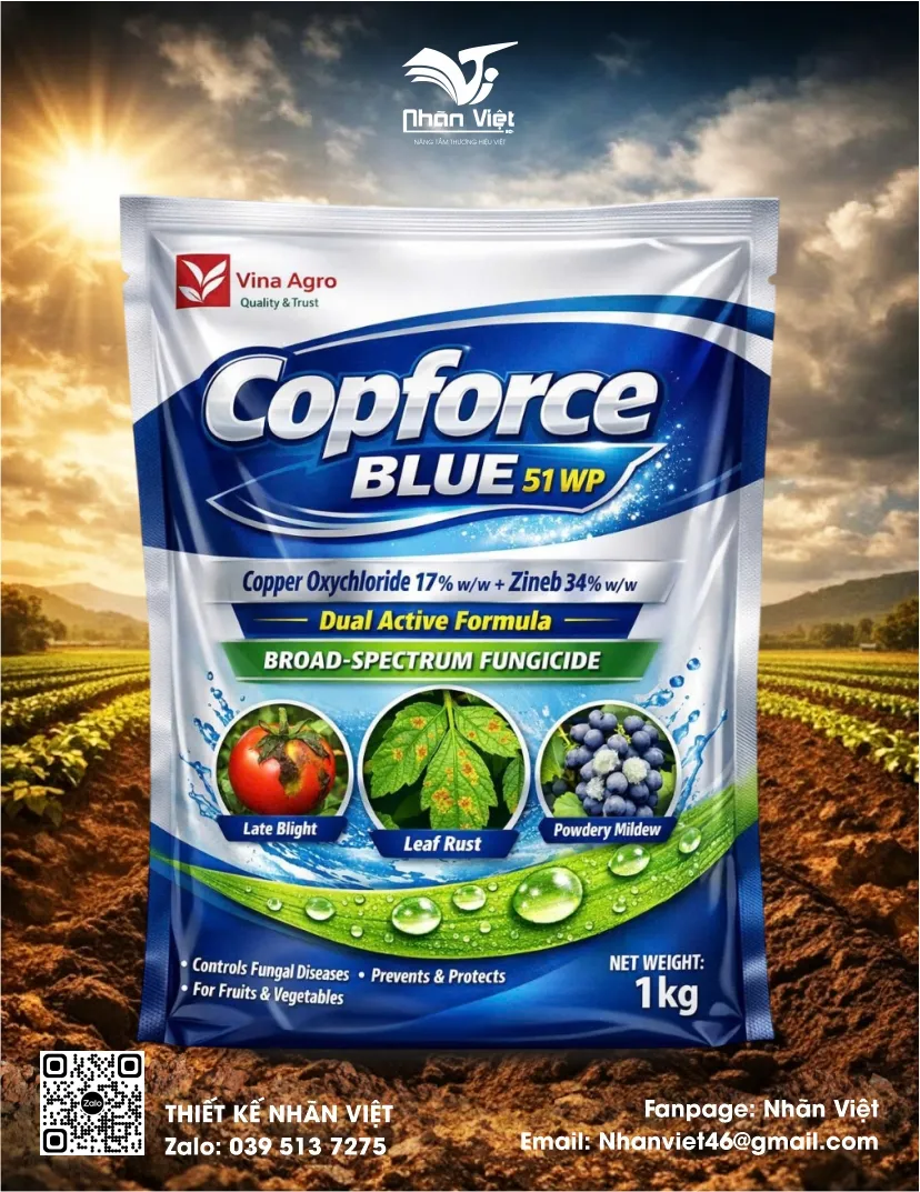 Nhãn mác & Bao bì